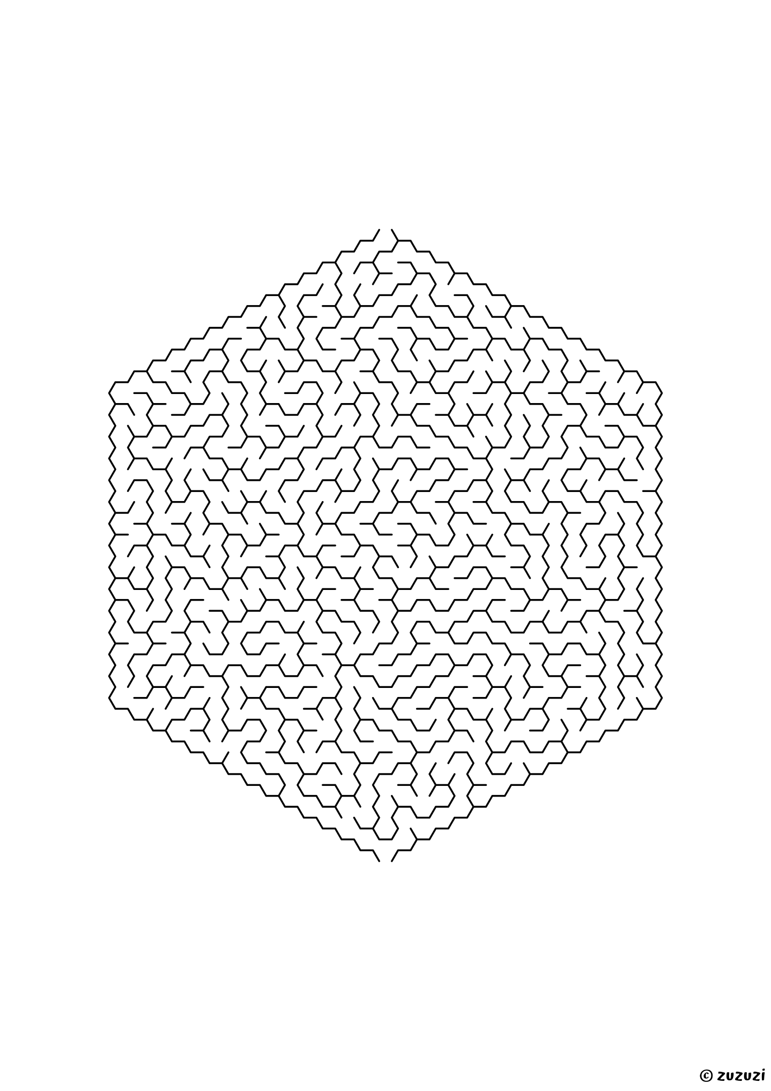 Extreme hexagonal maze made of honeycomb cells, black-and-white lines, designed for kids who love serious challenges, variant 2.