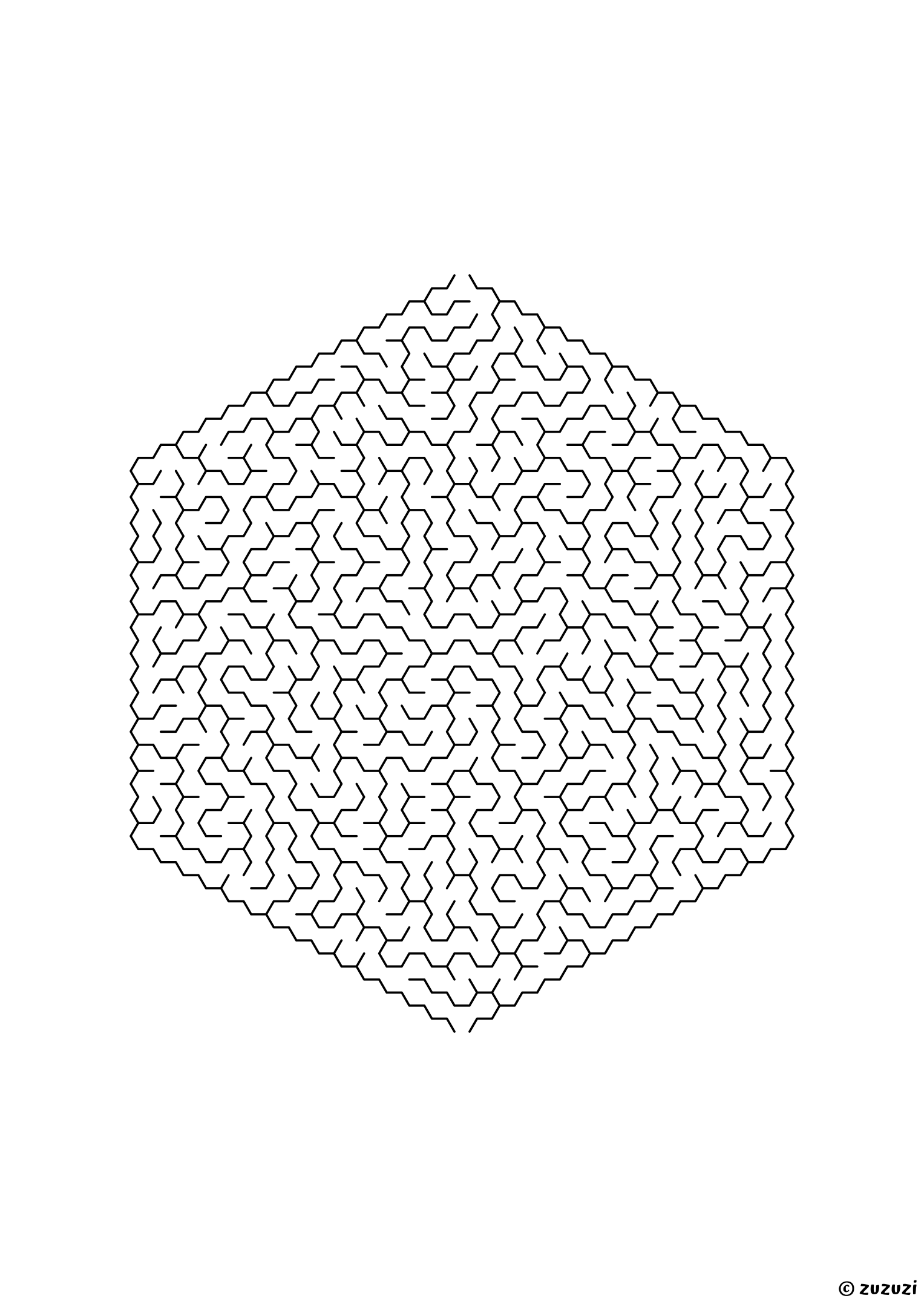 Extreme hexagonal maze made of honeycomb cells, black-and-white lines, designed for kids who love serious challenges, variant 3.
