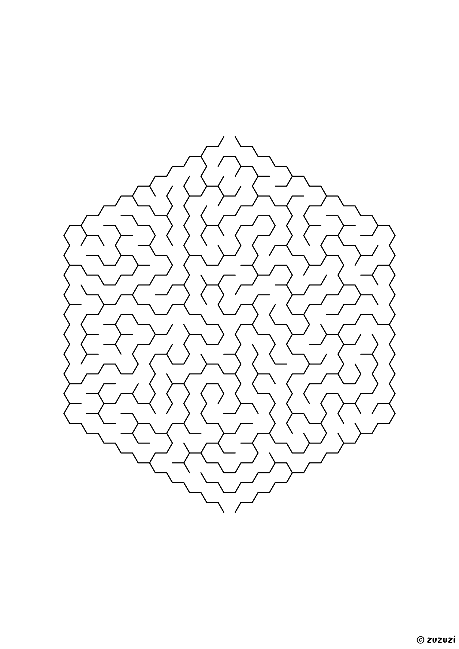 Hard hexagonal maze made of honeycomb cells, black-and-white lines, designed for focused kids who like tricky puzzles, variant 1.