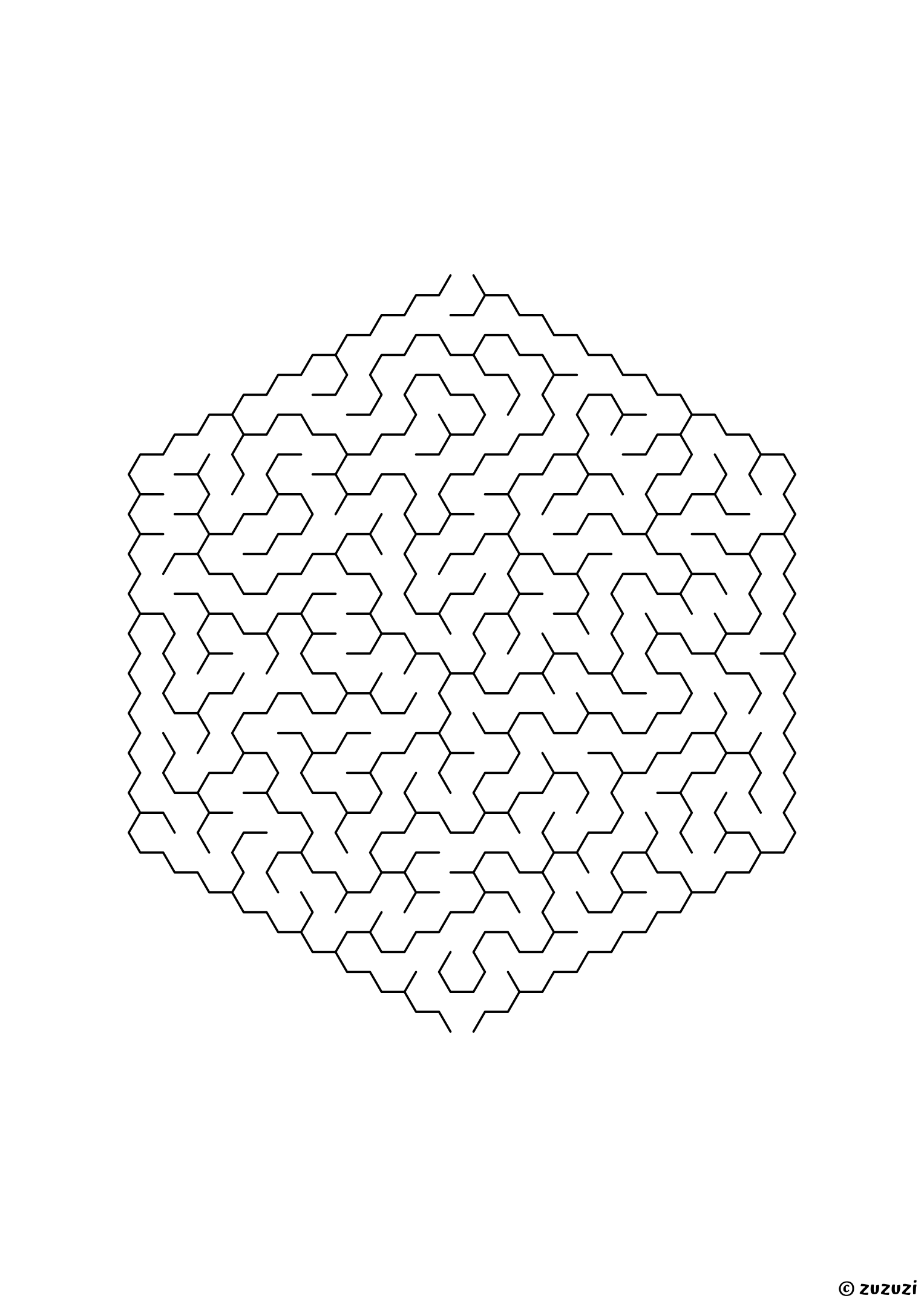Hard hexagonal maze made of honeycomb cells, black-and-white lines, designed for focused kids who like tricky puzzles, variant 2.