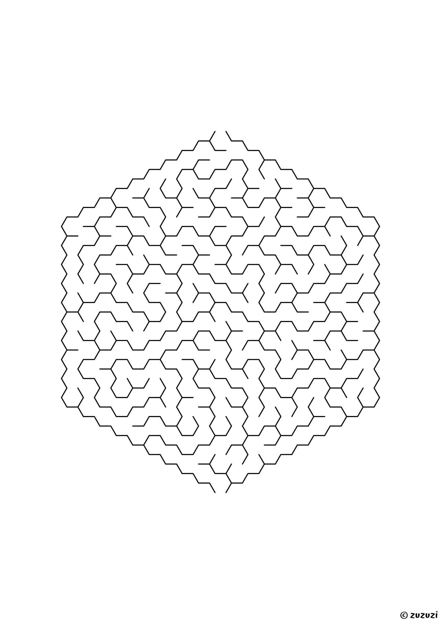 Hard hexagonal maze made of honeycomb cells, black-and-white lines, designed for focused kids who like tricky puzzles, variant 3.
