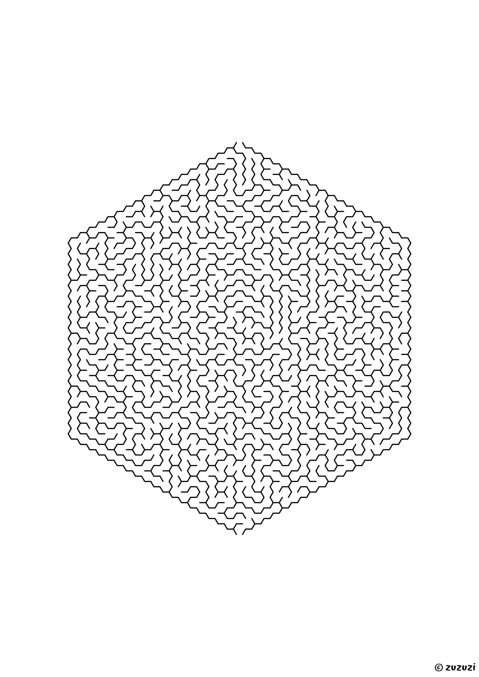 Insane hexagonal maze made of honeycomb cells, black-and-white lines, designed for expert problem solvers, variant 1.