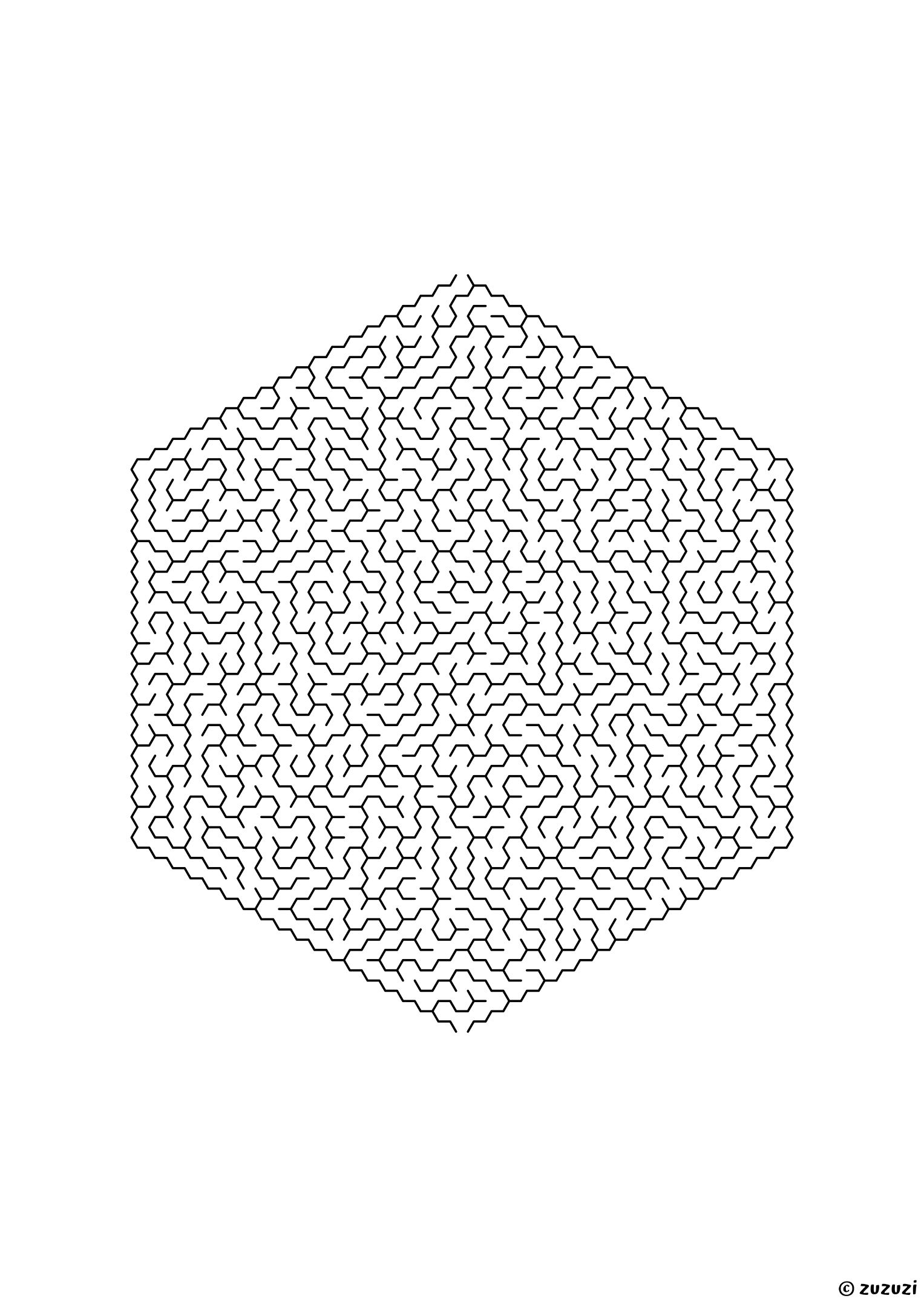 Insane hexagonal maze made of honeycomb cells, black-and-white lines, designed for expert problem solvers, variant 2.