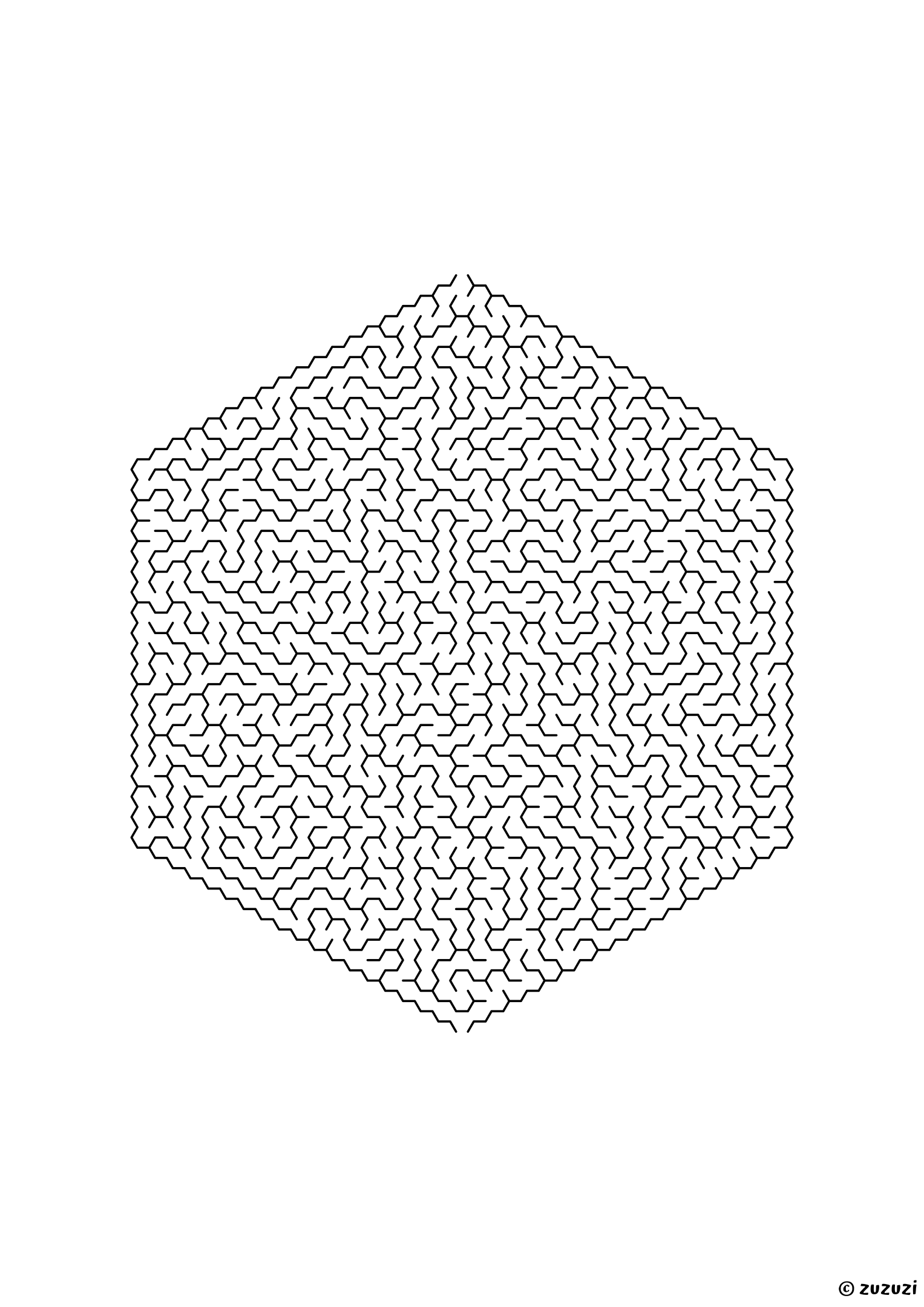 Insane hexagonal maze made of honeycomb cells, black-and-white lines, designed for expert problem solvers, variant 3.