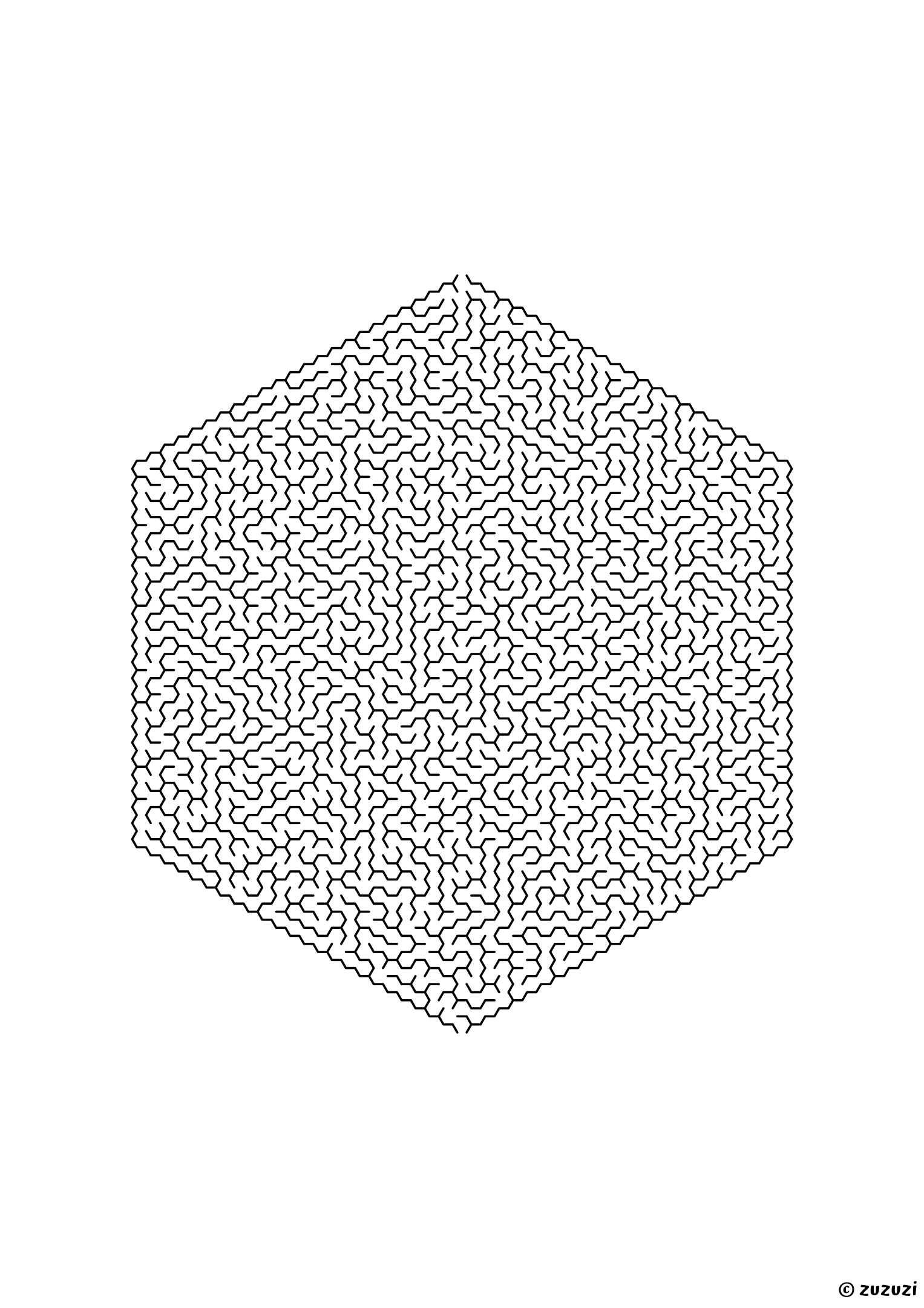 Legendary hexagonal maze made of honeycomb cells, black-and-white lines, designed for fearless puzzle masters, variant 2.