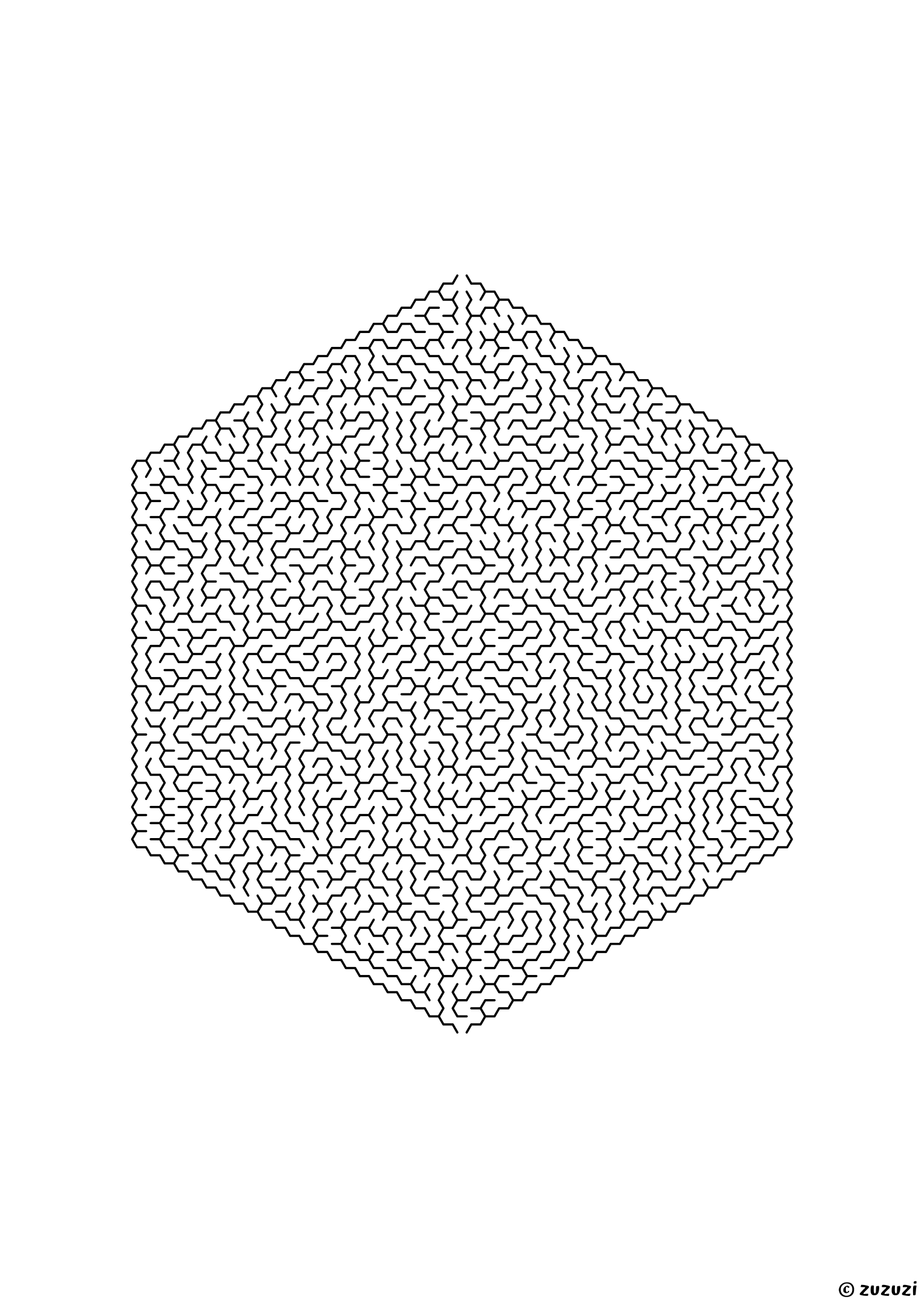 Legendary hexagonal maze made of honeycomb cells, black-and-white lines, designed for fearless puzzle masters, variant 3.