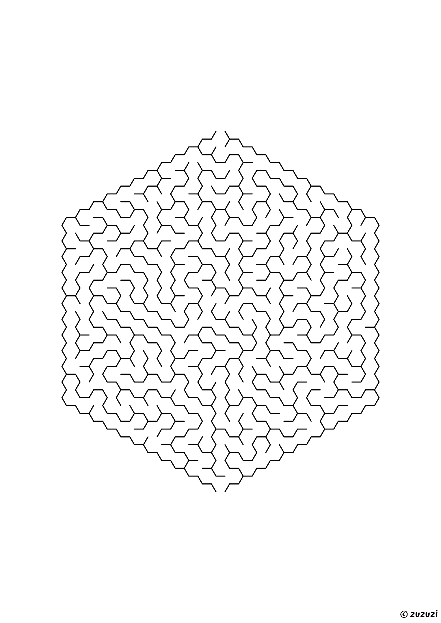 Very hard hexagonal maze made of honeycomb cells, black-and-white lines, designed for advanced young solvers, variant 1.