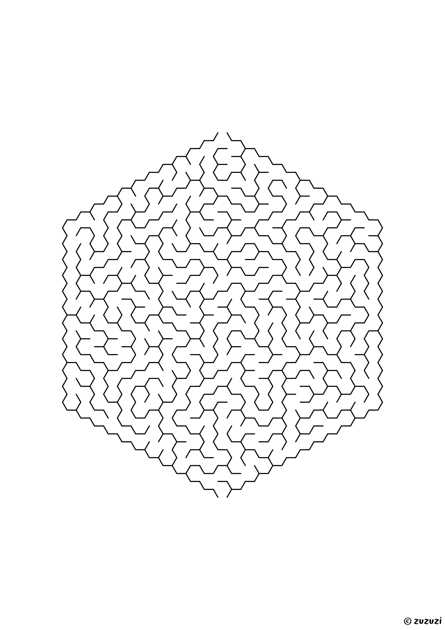 Very hard hexagonal maze made of honeycomb cells, black-and-white lines, designed for advanced young solvers, variant 3.